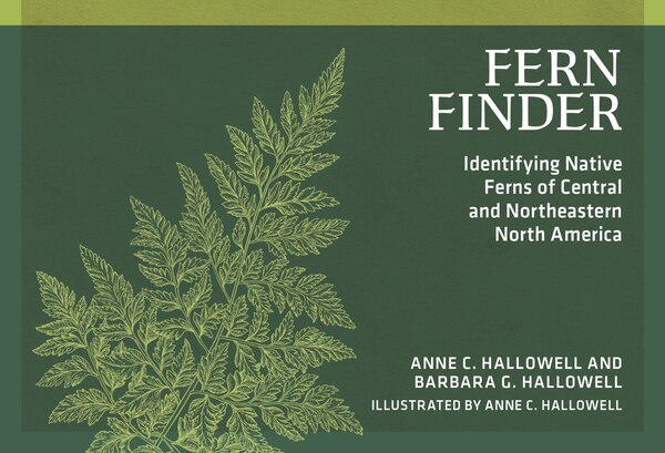 Fern Finder by Anne C. Hallowell, Paperback | Indigo Chapters