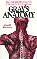 Gray's Anatomy by Henry Gray, Paperback | Indigo Chapters