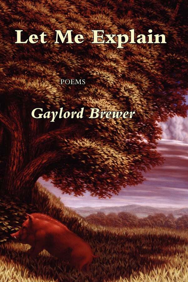 Let Me Explain by Gay Brewer, Paperback | Indigo Chapters
