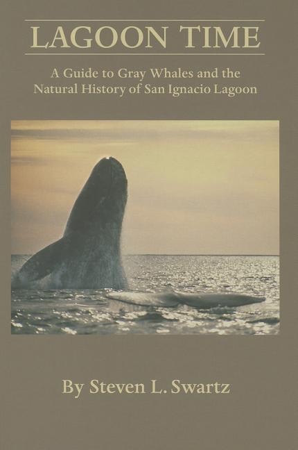 Lagoon Time by Stephen L Swartz, Paperback | Indigo Chapters