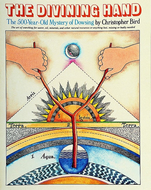The Divining Hand by Christopher Bird, Paperback | Indigo Chapters