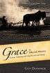 Grace for Effectual Ministry by Guy Duininck, Hardcover | Indigo Chapters