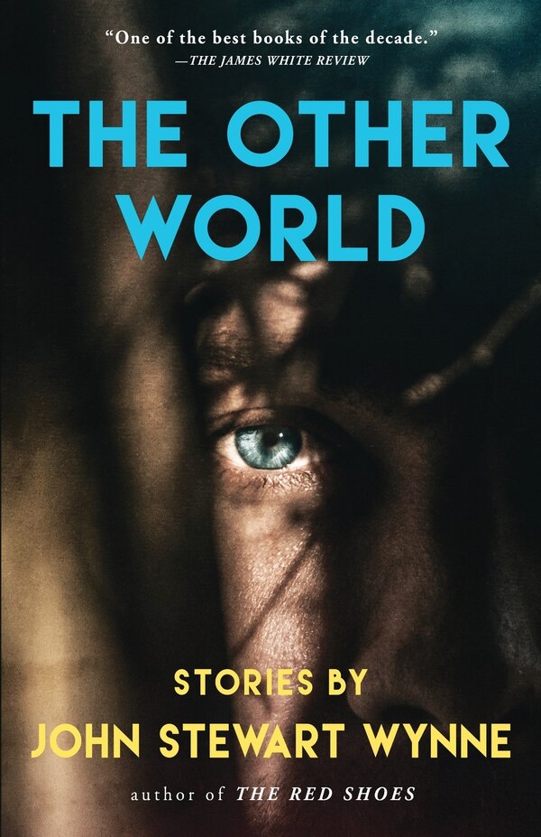 The Other World by John Stewart Wynne, Paperback | Indigo Chapters