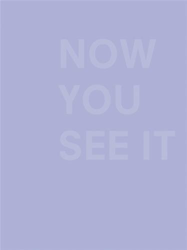 Now You See It by Heidi Zuckerman Jacobson, Hardcover | Indigo Chapters