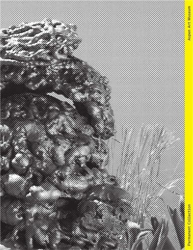 Permanent Collection: Issue V by Heidi Zuckerman, Paperback | Indigo Chapters