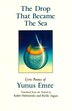 The Drop That Became the Sea by Kabir Helminski, Paperback | Indigo Chapters