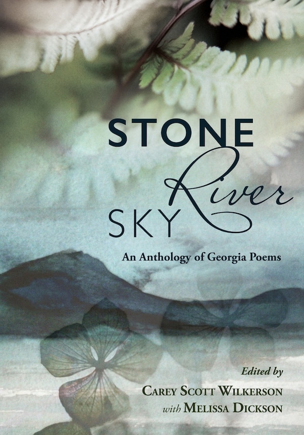 Stone River Sky by Carey Scott Wilkerson, Paperback | Indigo Chapters