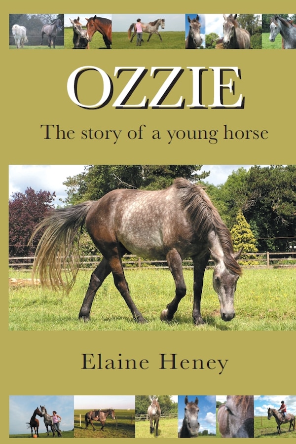 Ozzie - The story of a young horse by Elaine Heney, Paperback | Indigo Chapters