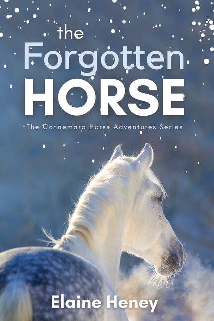 The Forgotten Horse - Book 1 in the Connemara Horse Adventure Series for Kids. The perfect gift for children age 8-12 by Elaine Heney, Paperback