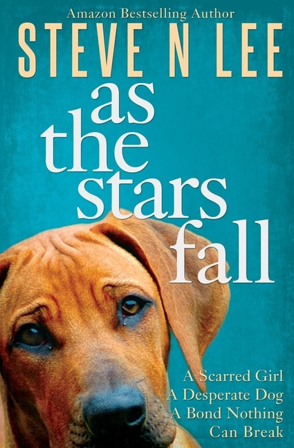 As The Stars Fall by Steve N Lee, Paperback | Indigo Chapters