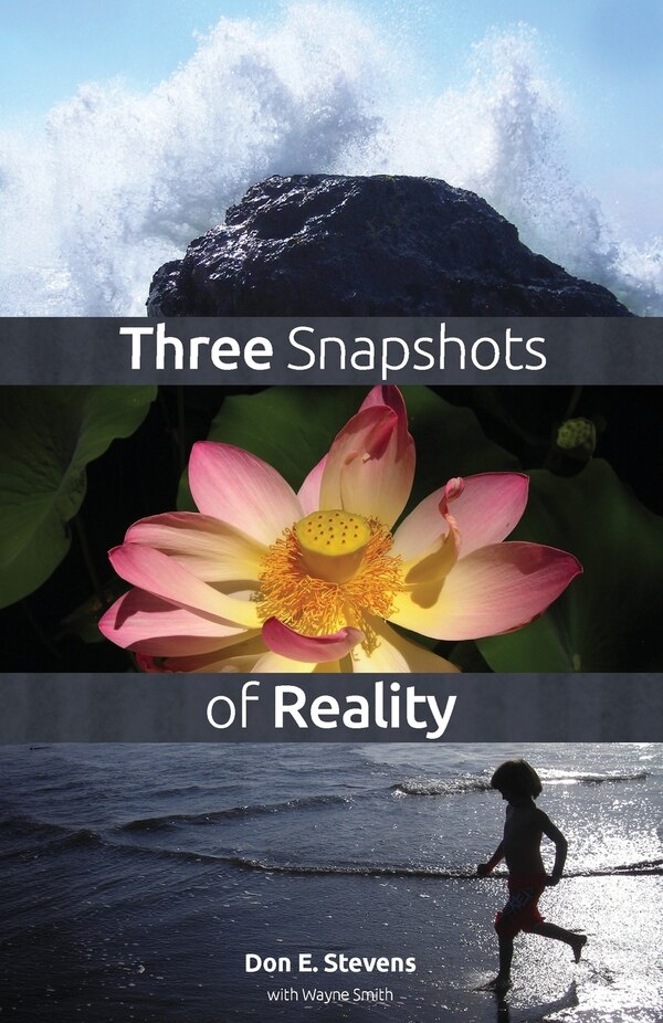 Three Snapshots of Reality by Don E Stevens, Paperback | Indigo Chapters