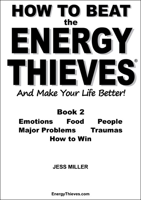 How to Beat the Energy Thieves and Make Your Life Better - Book 2 by Jess Miller, Paperback | Indigo Chapters