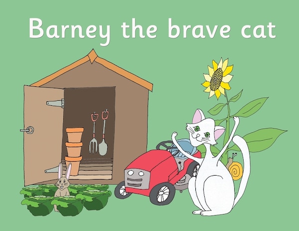 Barney the brave cat by R M Price-Mohr, Paperback | Indigo Chapters