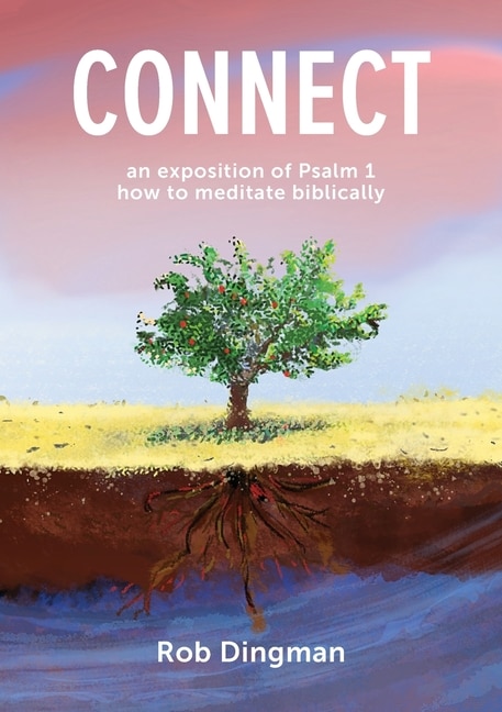 Connect by Rob Dingman, Paperback | Indigo Chapters