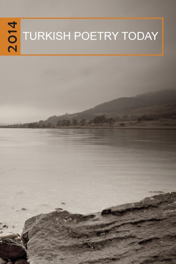 Turkish Poetry Today 2014 by George Messo, Paperback | Indigo Chapters