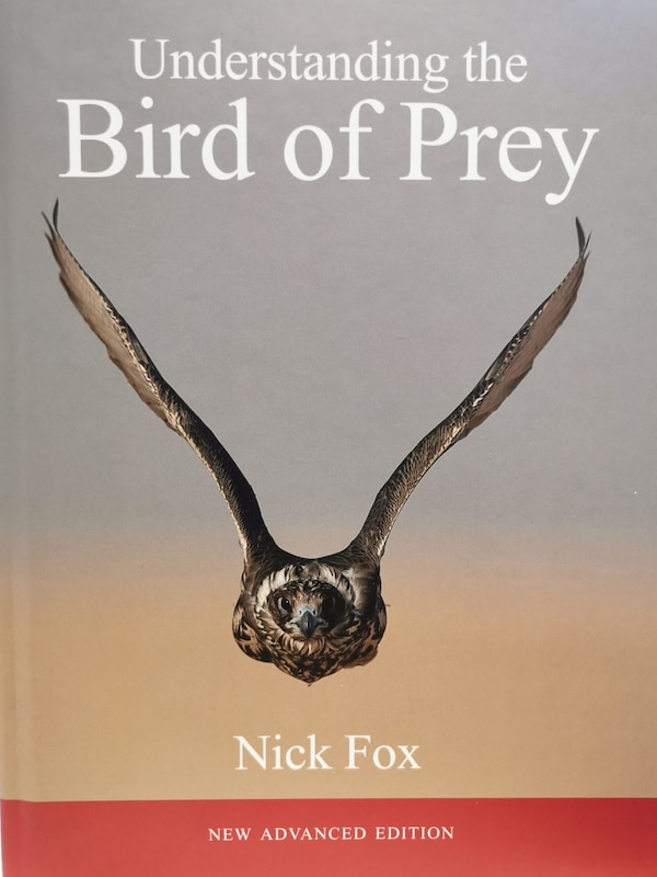 Understanding the Bird of Prey by Dr. Nicholas Fox, Hardcover | Indigo Chapters