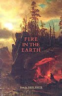 Fire in the Earth by David Whyte, Paperback | Indigo Chapters