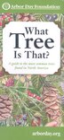 What Tree Is That? by Arbor Arbor Day Foundation, Paperback | Indigo Chapters