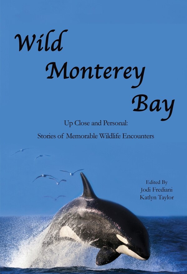 Wild Monterey Bay by Jodi Frediani, Paperback | Indigo Chapters