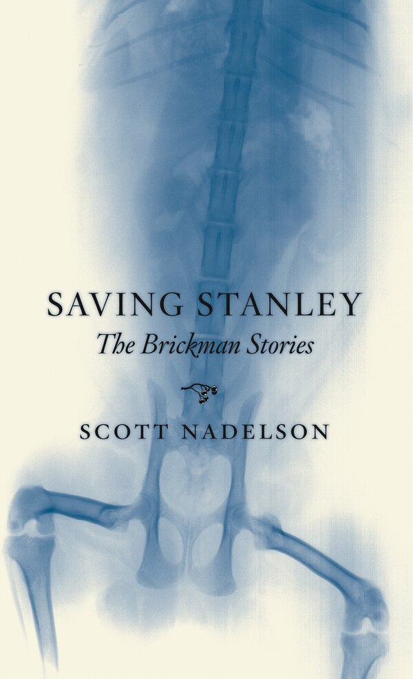 Saving Stanley by Scott Nadelson, Paperback | Indigo Chapters