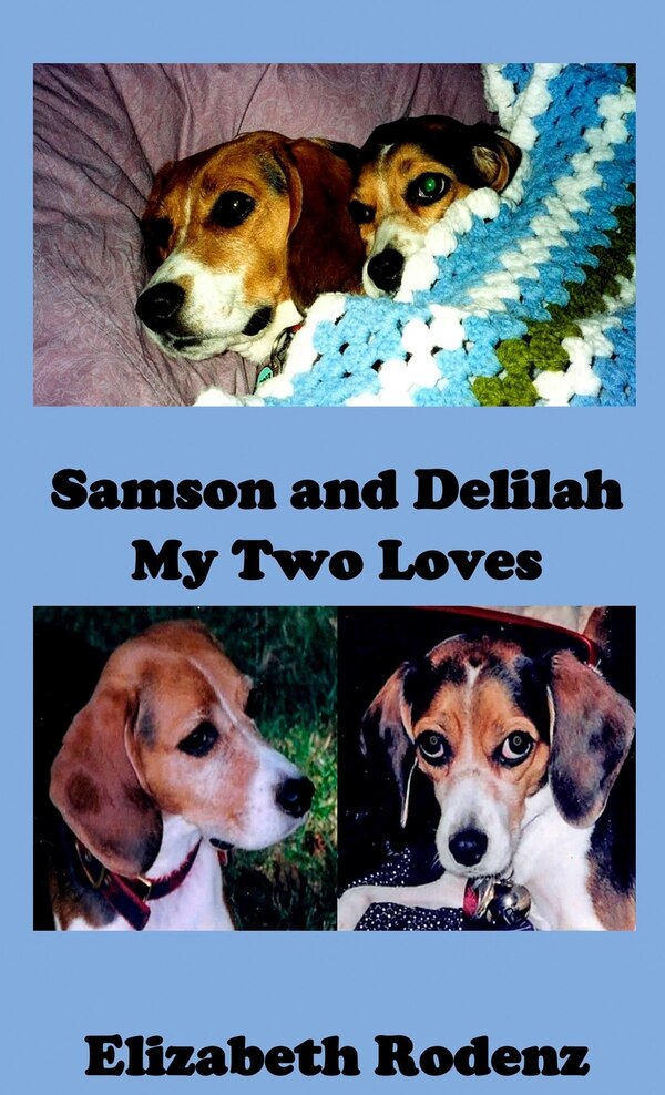 Samson and Delilah by Elizabeth Rodenz, Hardcover | Indigo Chapters