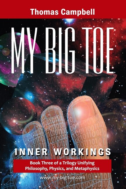 My Big TOE - Inner Workings S by Thomas Campbell, Paperback | Indigo Chapters