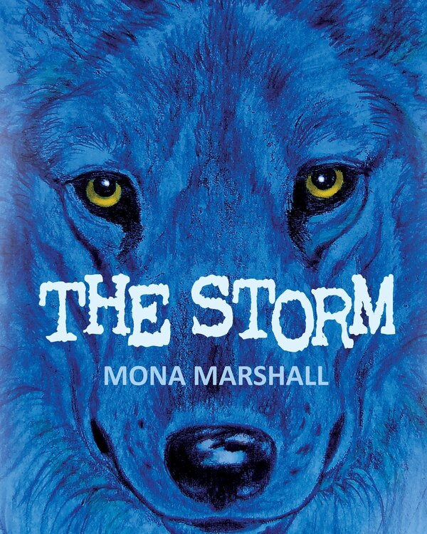 The Storm by Mona Marshall, Paperback | Indigo Chapters
