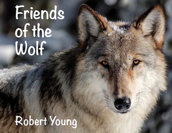 Friends of the Wolf by Robert Young, Paperback | Indigo Chapters