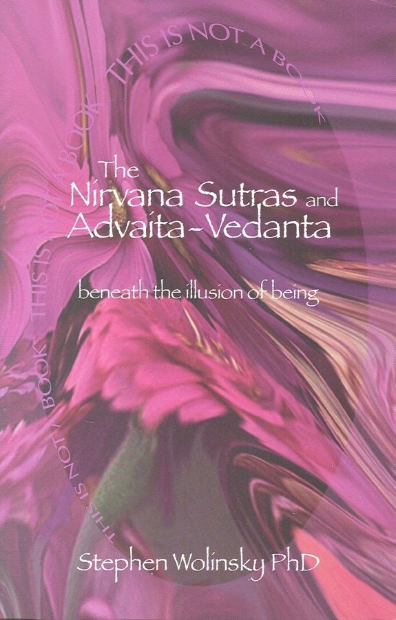 Nirvana Sutras And Advaita-vedanta by Stephen Wolinsky, Paperback | Indigo Chapters
