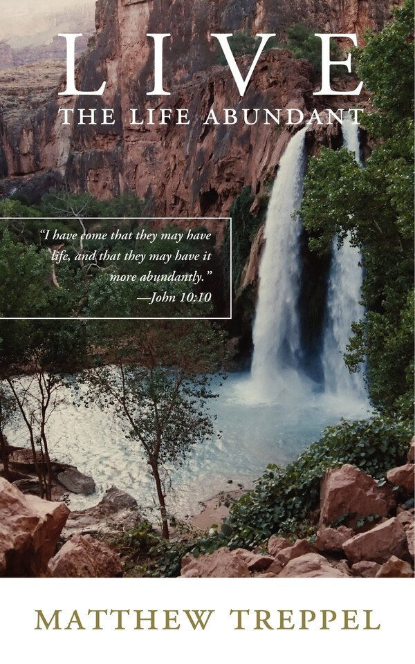 Live the Life Abundant by Matt Treppel, Paperback | Indigo Chapters