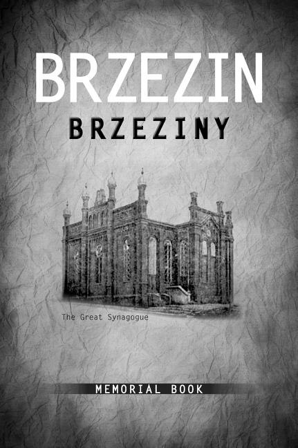 Brzezin Memorial Book by Fay Vogel Bussgang, Hardcover | Indigo Chapters