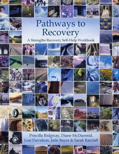 Pathways to Recovery by Diane McDiarmid, Paperback | Indigo Chapters