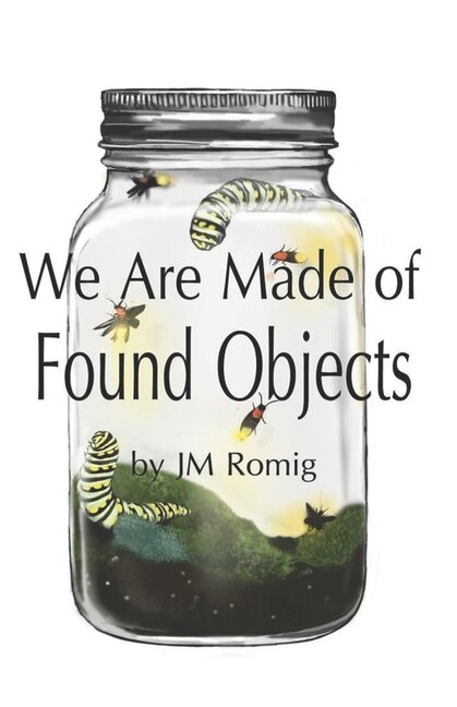 We Are Made of Found Objects by Jm Romig, Paperback | Indigo Chapters