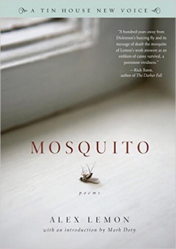 Mosquito by Alex Lemon, Paperback | Indigo Chapters