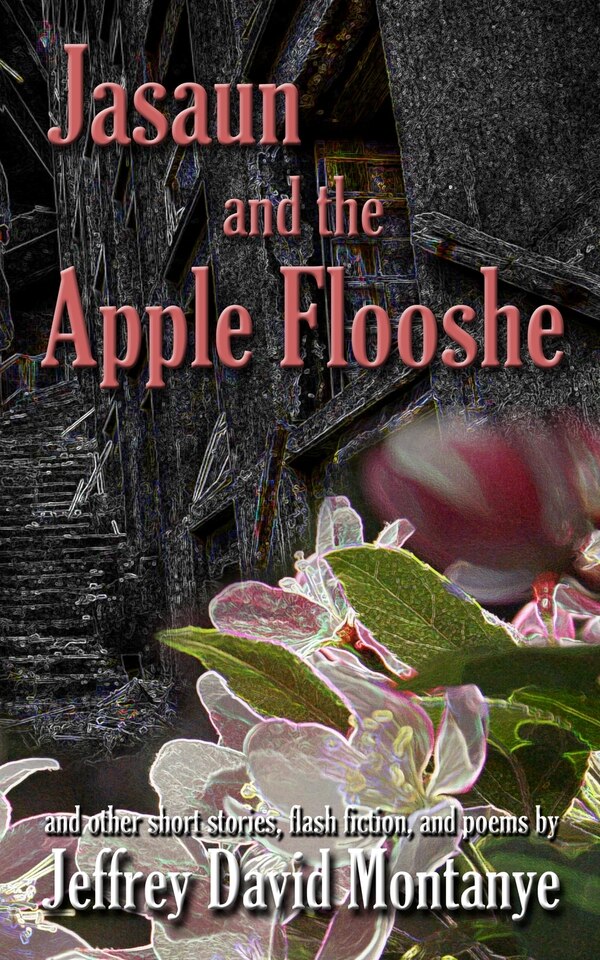 Jasaun and the Apple Flooshe by Jeffrey David Montanye, Paperback | Indigo Chapters