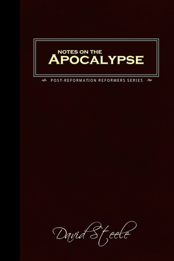 Notes On The Apocalypse by David Steele, Paperback | Indigo Chapters