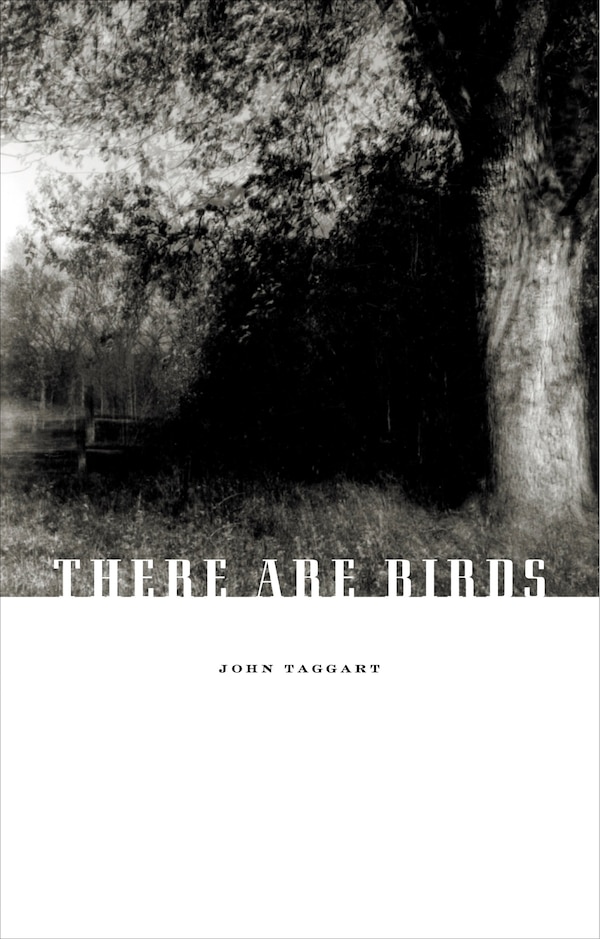 There Are Birds by John Taggart, Paperback | Indigo Chapters