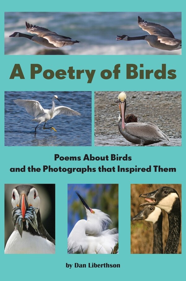 A Poetry of Birds by Dan Liberthson, Hardcover | Indigo Chapters