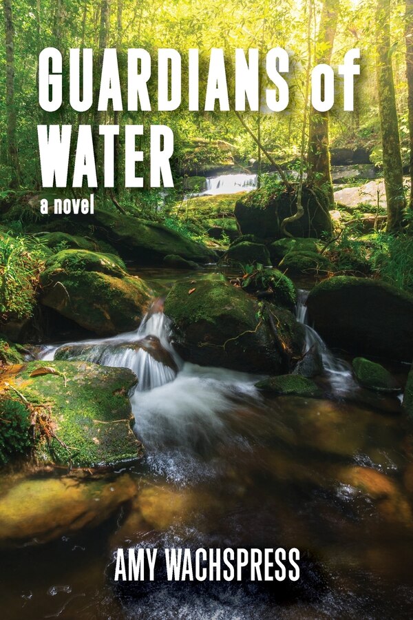 Guardians of Water by Amy Wachspress, Paperback | Indigo Chapters
