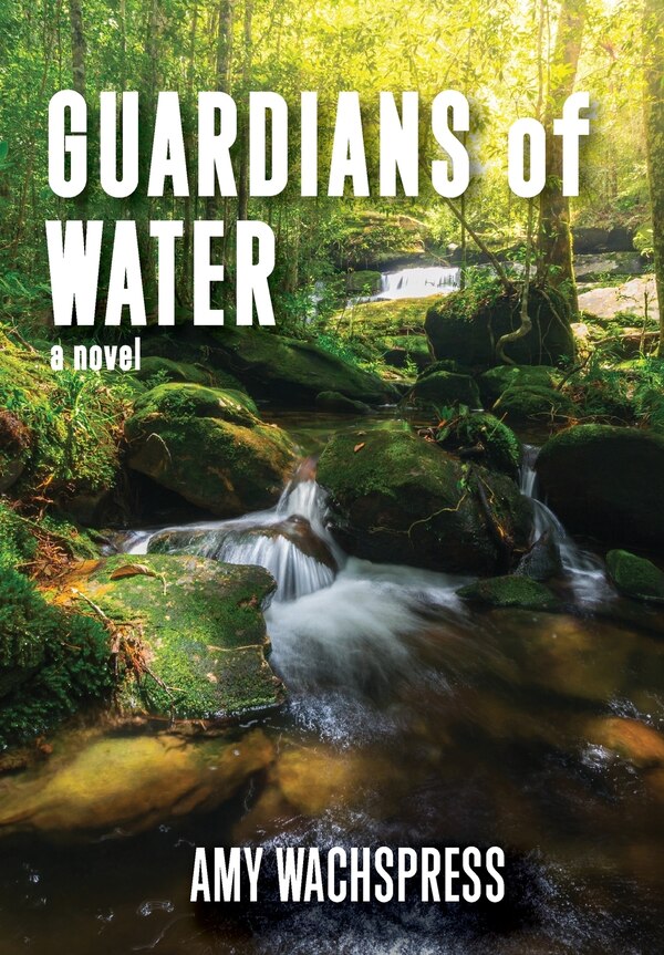 Guardians of Water by Amy Wachspress, Hardcover | Indigo Chapters