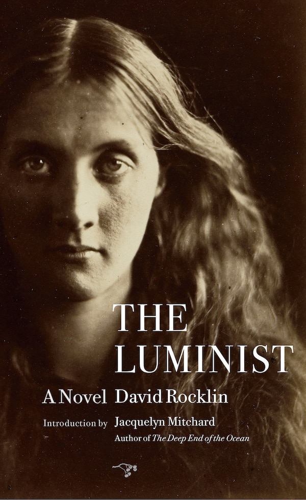 The Luminist by David Rocklin, Paperback | Indigo Chapters