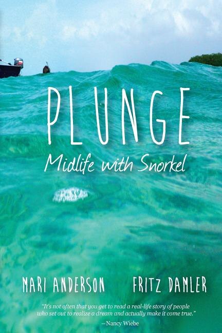 Plunge by Fritz Damler, Paperback | Indigo Chapters