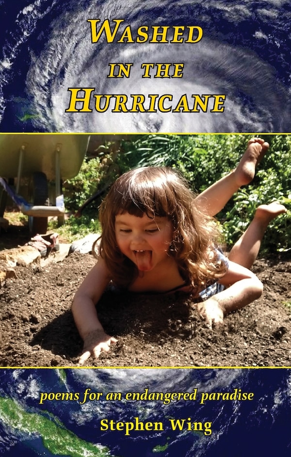 Washed in the Hurricane by Stephen Wing, Paperback | Indigo Chapters