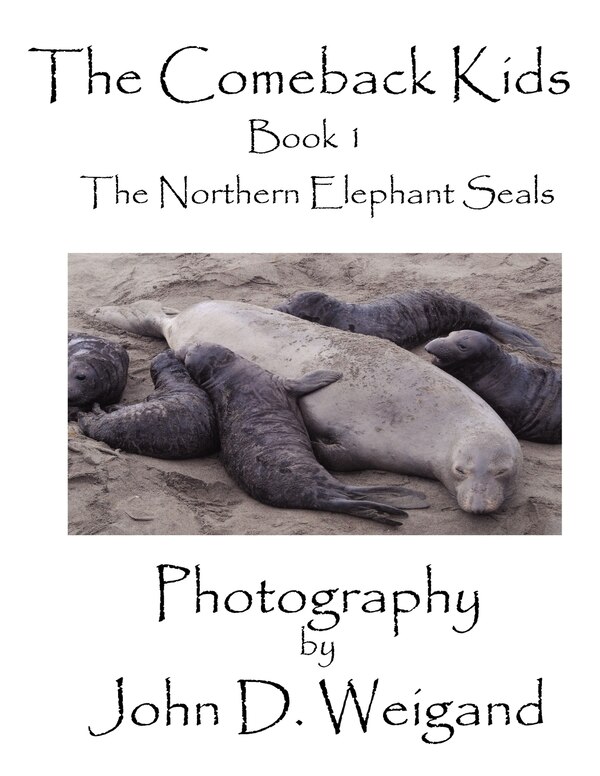 The Comeback Kids Book 1 The Northern Elephant Seals by Penelope Dyan, Paperback | Indigo Chapters