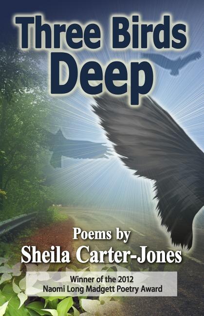 Three Birds Deep by Sheila Carter-Jones, Paperback | Indigo Chapters