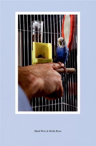 Jeff Barnett-Winsby: Mark West & Molly Rose, Paperback | Indigo Chapters