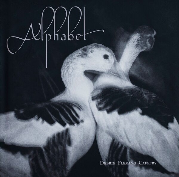 Alphabet by Debbie Fleming Caffery, Hardcover | Indigo Chapters