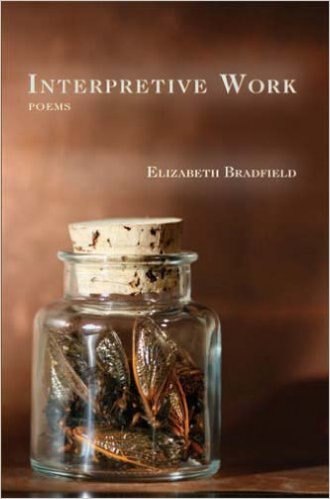 Interpretive Work by Elizabeth Bradfield, Paperback | Indigo Chapters