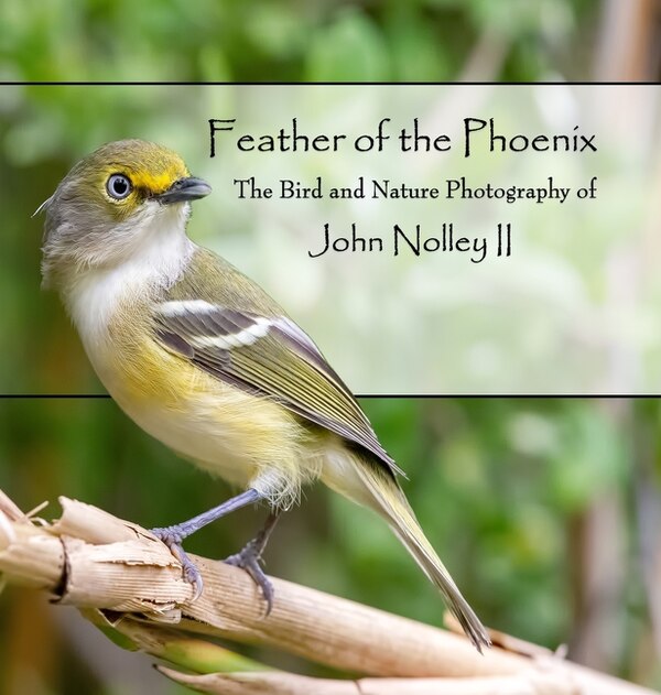 Feather of the Phoenix by John Nolley, Hardcover | Indigo Chapters