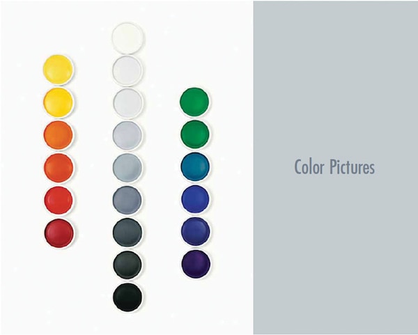 Color Pictures by Frances Colpitt, Paperback | Indigo Chapters
